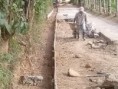 /album/fotogaleria-inicio/cam00695-jpg/