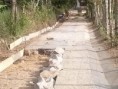 /album/fotogaleria-inicio/cam00697-jpg/
